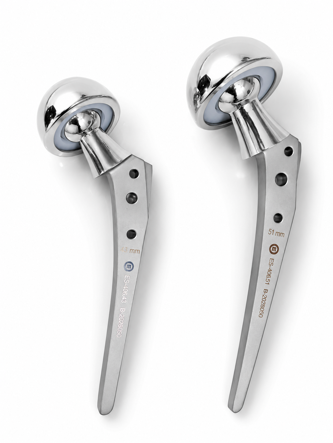 Bipolar Hip Prosthesis Fenestrated